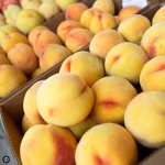 pesche-bianche
