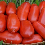 san-marzano