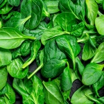 spinaci-freschi