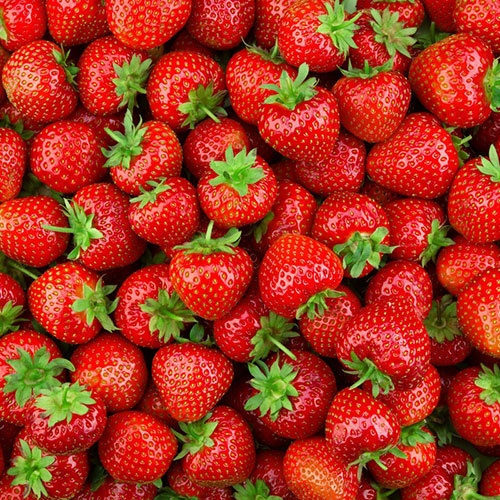 fragole