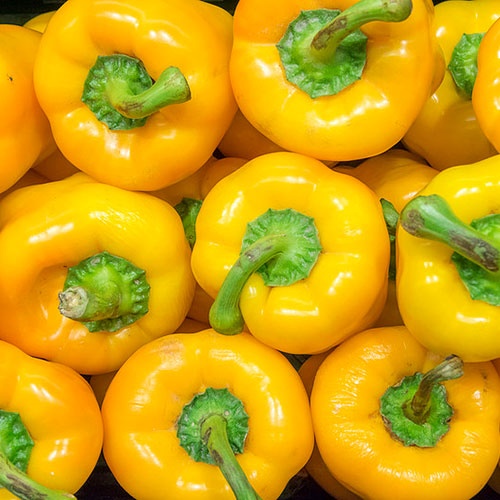 peperoni_gialli